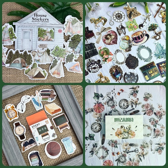 Meet your Posher, Daisy - Picture 12 of 15